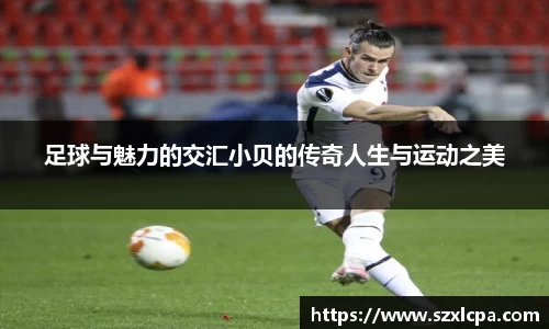 九州酷游bet9平台